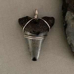 Large shark tooth pendant